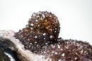 Collector-Grade Agate Specimen with Amethyst, Rare Golden Goethite & Red-Toned Flower Stalactite - E2D Crystals & Minerals