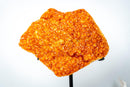 Rare Citrine Cluster on Stand with Sparkling Golden Orange Galaxy Druzy and Sculptural Formation (19 In / 33 Lb) - E2D Crystals & Minerals