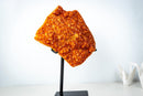 Rare Citrine Cluster on Stand with Sparkling Golden Orange Galaxy Druzy and Sculptural Formation (19 In / 33 Lb) - E2D Crystals & Minerals