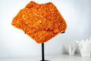 Rare Citrine Cluster on Stand with Sparkling Golden Orange Galaxy Druzy and Sculptural Formation (19 In / 33 Lb) - E2D Crystals & Minerals