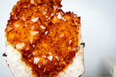 Large AAA Citrine Cluster with Crystal Flower Formations – Madeira Orange Gemmy Druzy on Stand (7.3 Kg / 16.2 lb) - E2D Crystals & Minerals