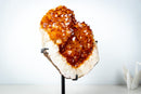 Large AAA Citrine Cluster with Crystal Flower Formations – Madeira Orange Gemmy Druzy on Stand (7.3 Kg / 16.2 lb) - E2D Crystals & Minerals