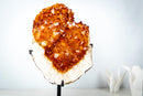 Large AAA Citrine Cluster with Crystal Flower Formations – Madeira Orange Gemmy Druzy on Stand (7.3 Kg / 16.2 lb) - E2D Crystals & Minerals