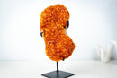Small Citrine Crystal Cluster on Custom Stand – Sparkling Golden Orange Galaxy Druzy (4.7 Kg / 10.5 lb) - E2D Crystals & Minerals