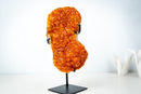 Small Citrine Crystal Cluster on Custom Stand – Sparkling Golden Orange Galaxy Druzy (4.7 Kg / 10.5 lb) - E2D Crystals & Minerals