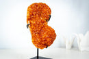 Small Citrine Crystal Cluster on Custom Stand – Sparkling Golden Orange Galaxy Druzy (4.7 Kg / 10.5 lb) - E2D Crystals & Minerals