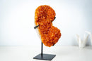 Small Citrine Crystal Cluster on Custom Stand – Sparkling Golden Orange Galaxy Druzy (4.7 Kg / 10.5 lb) - E2D Crystals & Minerals