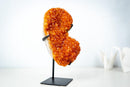 Small Citrine Crystal Cluster on Custom Stand – Sparkling Golden Orange Galaxy Druzy (4.7 Kg / 10.5 lb) - E2D Crystals & Minerals
