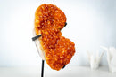 Small Citrine Crystal Cluster on Custom Stand – Sparkling Golden Orange Galaxy Druzy (4.7 Kg / 10.5 lb) - E2D Crystals & Minerals