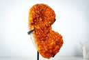 Small Citrine Crystal Cluster on Custom Stand – Sparkling Golden Orange Galaxy Druzy (4.7 Kg / 10.5 lb) - E2D Crystals & Minerals