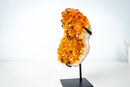 Small Self-Standing Citrine Crystal Cluster – Golden Yellow Brazilian Specimen, Ethically Sourced (4.4 lb) - E2D Crystals & Minerals