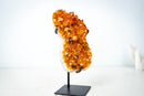 Small Self-Standing Citrine Crystal Cluster – Golden Yellow Brazilian Specimen, Ethically Sourced (4.4 lb) - E2D Crystals & Minerals