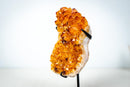 Small Self-Standing Citrine Crystal Cluster – Golden Yellow Brazilian Specimen, Ethically Sourced (4.4 lb) - E2D Crystals & Minerals