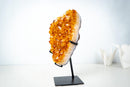Small High-Grade Brazilian Citrine Cluster – Vibrant Golden-Orange Crystal Druzy on Custom Stand (7.5 In / 2.5 Lb) - E2D Crystals & Minerals