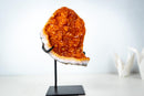 Small Madeira Citrine Geode Cluster – AAA-Grade, with Sparkly Golden Orange/Amber Druzy on Stand (2.0 Kg / 4.3 lb) - E2D Crystals & Minerals