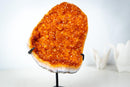 Small Madeira Citrine Geode Cluster – AAA-Grade, with Sparkly Golden Orange/Amber Druzy on Stand (2.0 Kg / 4.3 lb) - E2D Crystals & Minerals