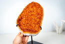 Small Madeira Citrine Geode Cluster – AAA-Grade, with Sparkly Golden Orange/Amber Druzy on Stand (2.0 Kg / 4.3 lb) - E2D Crystals & Minerals
