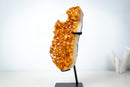 Natural High-Grade Citrine Cluster with Calcite – Gemmy Golden Orange Crystal Points on Stand (13 In / 7.4 Lb) - E2D Crystals & Minerals