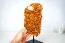 Natural High-Grade Citrine Cluster with Calcite – Gemmy Golden Orange Crystal Points on Stand (13 In / 7.4 Lb) - E2D Crystals & Minerals