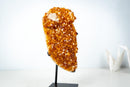 Natural High-Grade Citrine Cluster with Calcite – Gemmy Golden Orange Crystal Points on Stand (13 In / 7.4 Lb) - E2D Crystals & Minerals