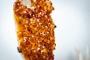 Natural High-Grade Citrine Cluster with Calcite – Gemmy Golden Orange Crystal Points on Stand (13 In / 7.4 Lb) - E2D Crystals & Minerals