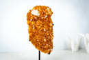 Natural High-Grade Citrine Cluster with Calcite – Gemmy Golden Orange Crystal Points on Stand (13 In / 7.4 Lb) - E2D Crystals & Minerals
