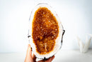AAA-Grade Natural Citrine Geode Cave with Golden Orange Druzy and Rare Crystals (Small Size: 3.3 Kg - 7.2 lb) - E2D Crystals & Minerals