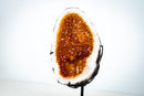 AAA-Grade Natural Citrine Geode Cave with Golden Orange Druzy and Rare Crystals (Small Size: 3.3 Kg - 7.2 lb) - E2D Crystals & Minerals