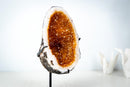 AAA-Grade Natural Citrine Geode Cave with Golden Orange Druzy and Rare Crystals (Small Size: 3.3 Kg - 7.2 lb) - E2D Crystals & Minerals