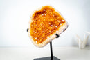 Golden Yellow Citrine Geode Cluster – Large Sparkling Crystal Druzy (5.4 Kg / 12.0 lb) - E2D Crystals & Minerals