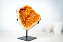 Golden Yellow Citrine Geode Cluster – Large Sparkling Crystal Druzy (5.4 Kg / 12.0 lb) - E2D Crystals & Minerals