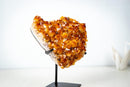 AAA Madeira Citrine Crystal Cluster – Large Gemmy Golden-Orange Points on Stand (4.1 Kg / 9.0 lb) - E2D Crystals & Minerals