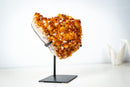 AAA Madeira Citrine Crystal Cluster – Large Gemmy Golden-Orange Points on Stand (4.1 Kg / 9.0 lb) - E2D Crystals & Minerals