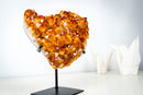 AAA Madeira Citrine Crystal Cluster – Large Gemmy Golden-Orange Points on Stand (4.1 Kg / 9.0 lb) - E2D Crystals & Minerals