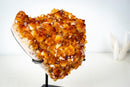 AAA Madeira Citrine Crystal Cluster – Large Gemmy Golden-Orange Points on Stand (4.1 Kg / 9.0 lb) - E2D Crystals & Minerals