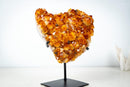 AAA Madeira Citrine Crystal Cluster – Large Gemmy Golden-Orange Points on Stand (4.1 Kg / 9.0 lb) - E2D Crystals & Minerals