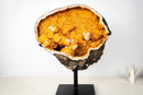 Spectacular Golden Yellow Citrine Geode Cave with Stalactite Flowers & Natural Calcite – Large: 25.7 Kg / 56.7 lb - E2D Crystals & Minerals