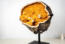 Spectacular Golden Yellow Citrine Geode Cave with Stalactite Flowers & Natural Calcite – Large: 25.7 Kg / 56.7 lb - E2D Crystals & Minerals