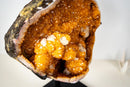 Spectacular Golden Yellow Citrine Geode Cave with Stalactite Flowers & Natural Calcite – Large: 25.7 Kg / 56.7 lb - E2D Crystals & Minerals