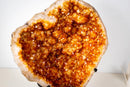 Rare Brazilian Citrine Geode with Dozens of Flower Stalactites & Sparkling Orange Druzy – (Large: 18 Kg / 40 lb) - E2D Crystals & Minerals
