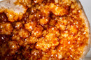 Rare Brazilian Citrine Geode with Dozens of Flower Stalactites & Sparkling Orange Druzy – (Large: 18 Kg / 40 lb) - E2D Crystals & Minerals