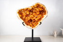 Rare Brazilian Citrine Geode with Dozens of Flower Stalactites & Sparkling Orange Druzy – (Large: 18 Kg / 40 lb) - E2D Crystals & Minerals