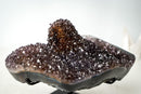 Collector-Grade Agate Specimen with Amethyst, Rare Golden Goethite & Red-Toned Flower Stalactite - E2D Crystals & Minerals