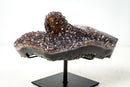 Collector-Grade Agate Specimen with Amethyst, Rare Golden Goethite & Red-Toned Flower Stalactite - E2D Crystals & Minerals