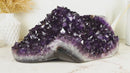 World Class AAA Large Amethyst Flower Geode with X-Large AAA Dark Purple Druzy