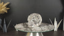 Gorgeous Real Crystal Skull with Huge Rainbows, Diamantina Quartz