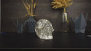 Real Diamantina Crystal Skull with Huge Rainbows
