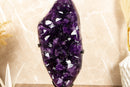 Amethyst Geode Cluster with AAA Dark Purple Grape Jelly Amethyst Points collective