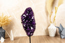 Amethyst Geode Cluster with AAA Dark Purple Grape Jelly Amethyst Points collective