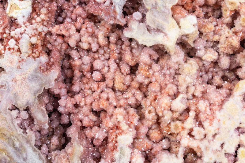 Gallery Grade Large AAA Natural Pink Amethyst Geode - E2D Crystals & Minerals